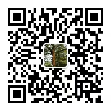 不銹鋼自攻釘